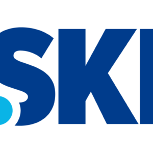 خرید دامنه .ski