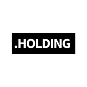 خرید دامنه .holding