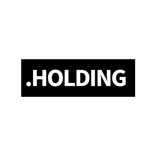 خرید دامنه .holding