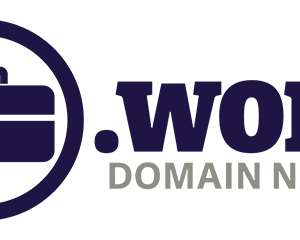 خرید دامنه .work